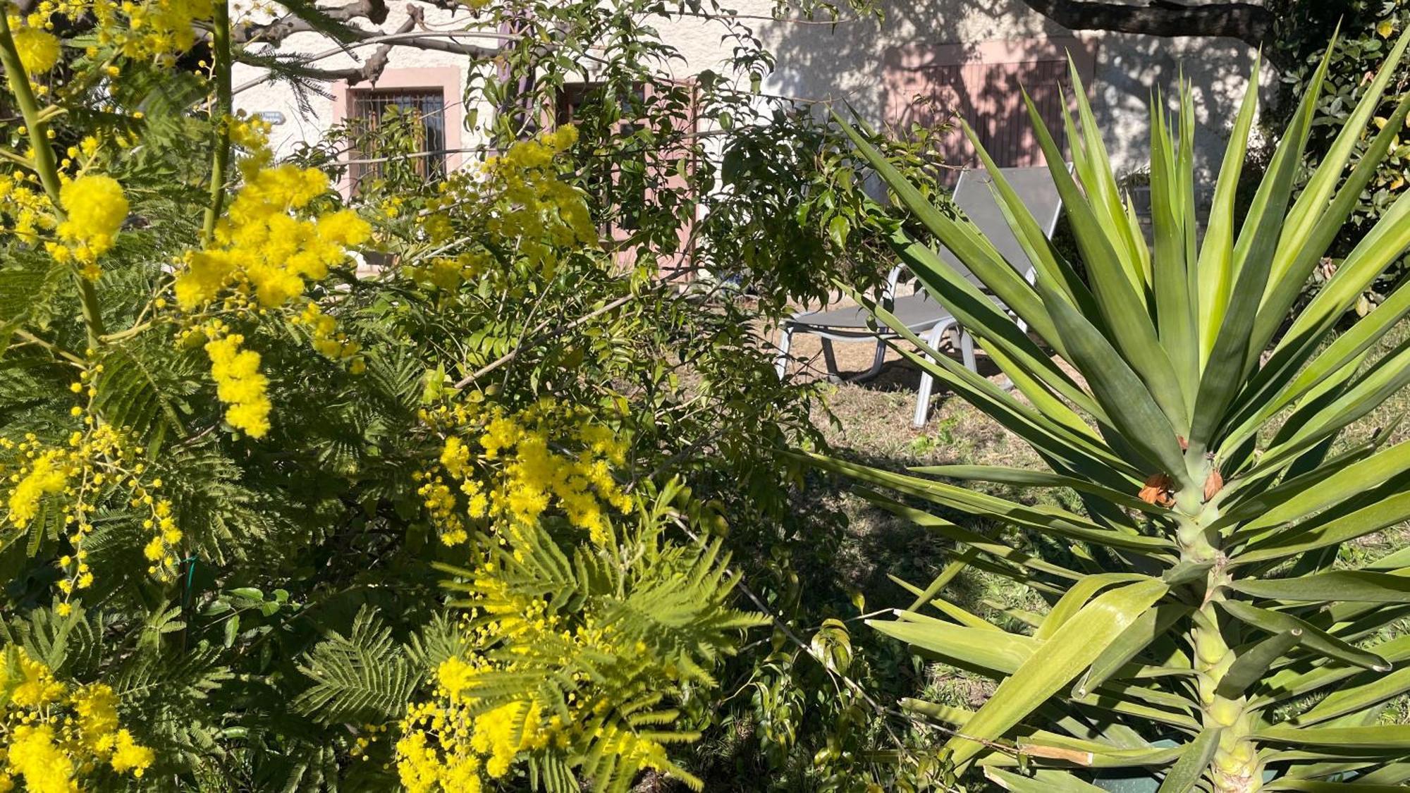 Large Private Garden, Quiet 2-Bedroom Apartment, Air Conditioning, Wifi, Parking Κασί Εξωτερικό φωτογραφία